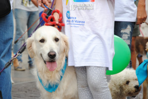 corsa con il cane 2015 © Elena Bertolini