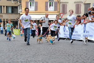 Corsa con il cane - Dog race © Elena Bertolini
