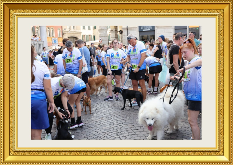 Corsa con il cane